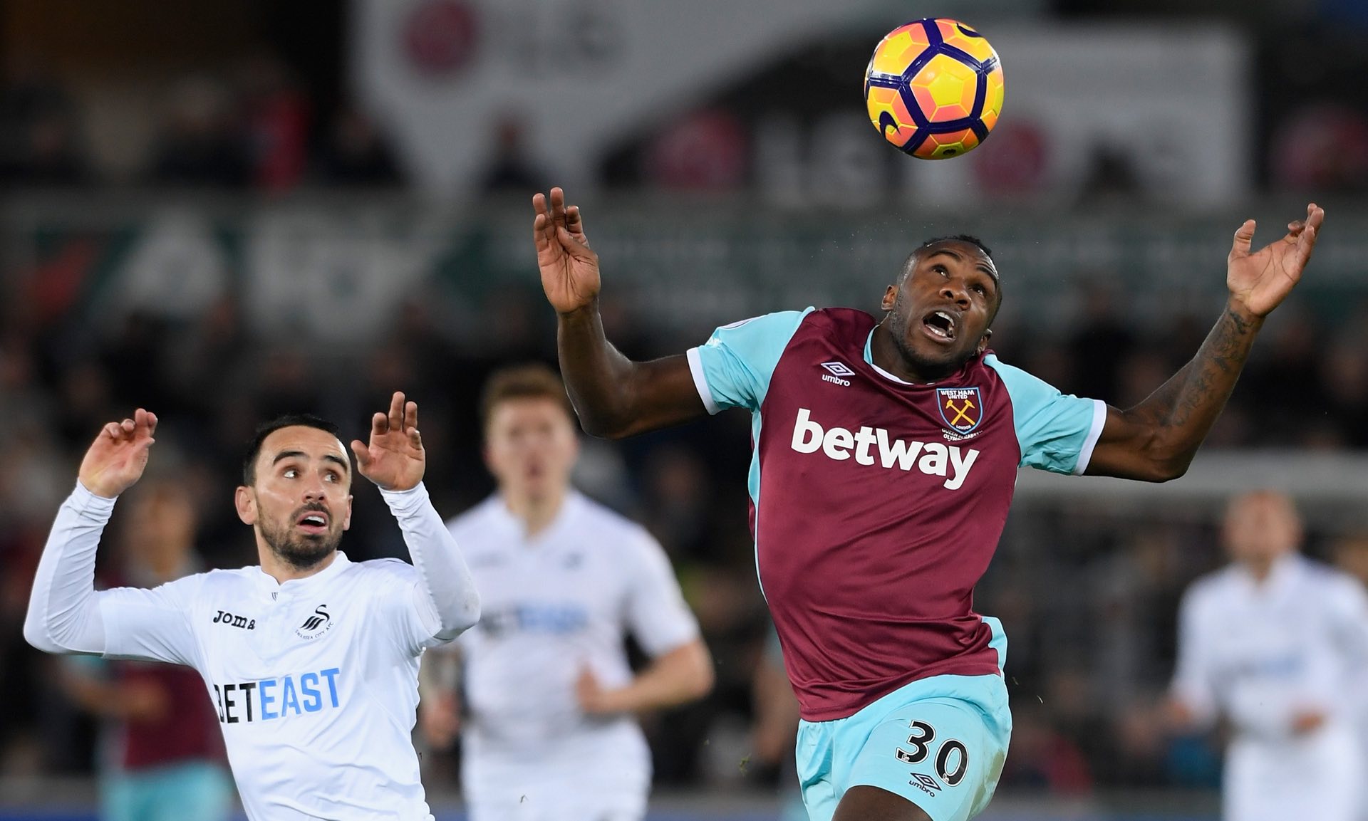 为球迷揭示 为球迷揭示